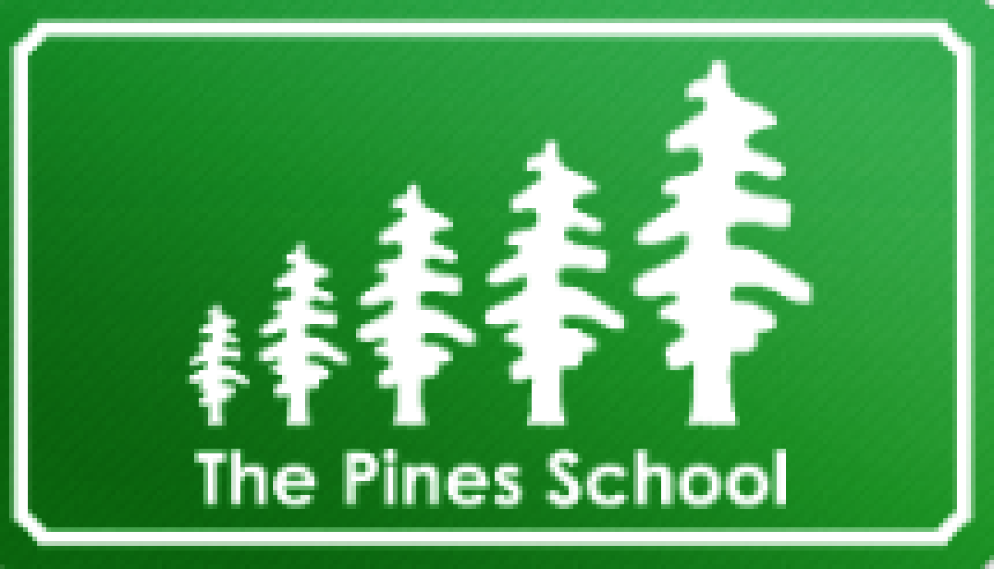 The Pines School