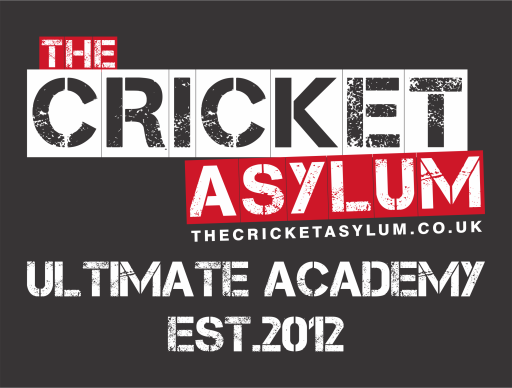 The Cricket Asylum - Ultimate Academy